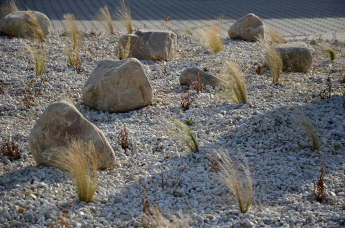 16 Stunning Backyard Gravel Ideas You Need to See